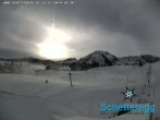 Archived image Webcam panoramic view alp Schetteregg 09:00