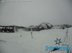 Archived image Webcam panoramic view alp Schetteregg 11:00