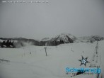 Archiv Foto Webcam Skigebiet Schetteregg 13:00