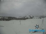 Archived image Webcam panoramic view alp Schetteregg 13:00