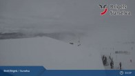 Archiv Foto Webcam Brigels: Alp Dado 14:00