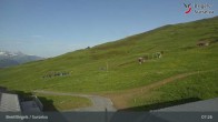 Archiv Foto Webcam Brigels: Alp Dado 06:00