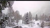 Archived image Webcam Camping Morteratsch, Engadin 11:00