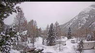 Archived image Webcam Camping Morteratsch, Engadin 15:00