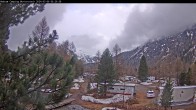 Archived image Webcam Camping Morteratsch, Engadin 05:00