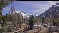 Archived image Webcam Camping Morteratsch, Engadin 14:00