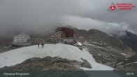 Archived image Webcam Diavolezza - Top station 08:00