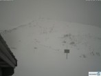 Archived image Webcam Hahnenmoos 11:00