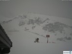 Archived image Webcam Hahnenmoos 11:00