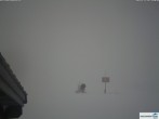 Archiv Foto Webcam Adelboden: Hahnenmoos 14:00