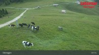 Archived image Webcam Terrain Park Obereggen 06:00