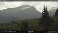 Archived image Webcam Bocche, Cima di montagna 08:00