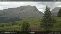 Archived image Webcam Bocche, Cima di montagna 11:00