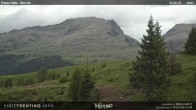 Archived image Webcam Bocche, Cima di montagna 15:00