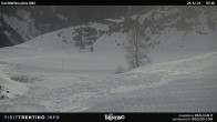 Archived image Webcam Carosello delle Malghe, Mt Tognola 07:00