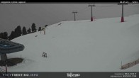 Archived image Webcam Val di Fiemme - Cavalese 11:00