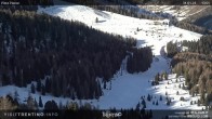 Archiv Foto Webcam Piavac-Piste, Skigebiet Alpe Lusia im Fassatal 08:00