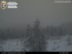 Archiv Foto Webcam Val Ferret - Aostatal 11:00