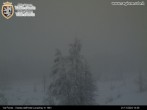 Archived image Webcam Val Ferret close to Courmayeur 13:00