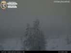 Archived image Webcam Val Ferret close to Courmayeur 15:00