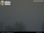 Archived image Webcam Courmayeur - Checrouit (1704 m) 13:00