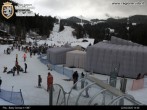 Archiv Foto Webcam Bergstation Baby Gorraz 13:00