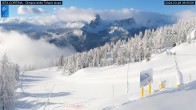Archived image Webcam Cortina d&#39;Ampezzo: World Cup slope from Rifugio Duca d&#39;Aosta 05:00