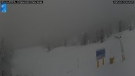 Archived image Webcam Cortina d&#39;Ampezzo: World Cup slope from Rifugio Duca d&#39;Aosta 21:00