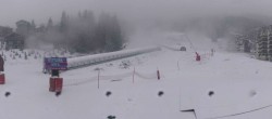 Archived image Webcam Tourism Office La Tania 11:00