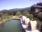 Archiv Foto Webcam Drachselsried: Hotel Riedlberg 09:00