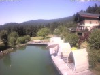 Archiv Foto Webcam Drachselsried: Hotel Riedlberg 13:00