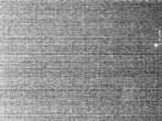 Archiv Foto Webcam Drachselsried: Hotel Riedlberg 01:00