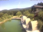 Archiv Foto Webcam Drachselsried: Hotel Riedlberg 09:00