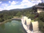Archiv Foto Webcam Drachselsried: Hotel Riedlberg 11:00