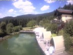 Archiv Foto Webcam Drachselsried: Hotel Riedlberg 13:00