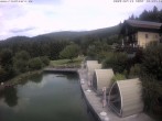 Archiv Foto Webcam Drachselsried: Hotel Riedlberg 11:00