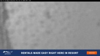 Archiv Foto Webcam Perisher: Village Eight 23:00