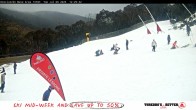 Archiv Foto Webcam Thredbo: Kosciuszko Express 11:00