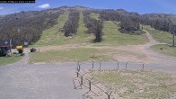 Archiv Foto Webcam Thredbo: Talstation The Cruiser 11:00