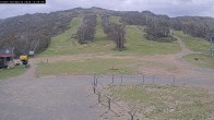 Archived image Webcam Thredbo: The Cruiser 11:00