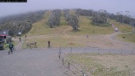 Archiv Foto Webcam Thredbo: Talstation The Cruiser 11:00