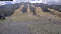 Archiv Foto Webcam Thredbo: Talstation The Cruiser 13:00