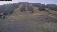 Archived image Webcam Thredbo: The Cruiser 17:00