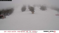 Archived image Webcam Thredbo: The Cruiser 11:00