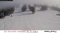 Archived image Webcam Thredbo: The Cruiser 09:00