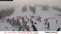 Archived image Webcam Thredbo: The Cruiser 13:00