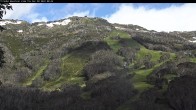 Archiv Foto Webcam Thredbo: Alpine Way 07:00