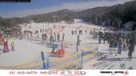 Archived image Webcam Thredbo: Friday Flat 09:00
