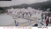 Archived image Webcam Thredbo: Friday Flat 11:00