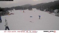 Archived image Webcam Thredbo: Friday Flat 17:00